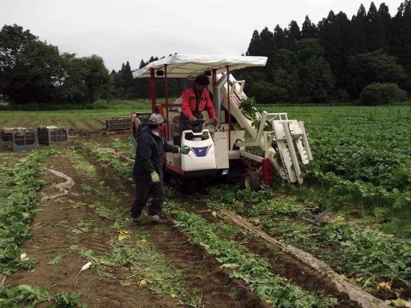 吉林大龄男生农业好项目